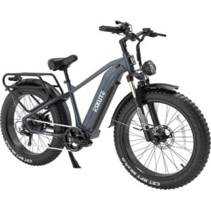 SmartAI Eskute Spark X Fat Tire Herren Ebike mountainbike City E-Bikes & E-Hollandräder Landfahrräder Elektrofahrrad